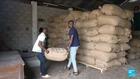 Ivory Coast's cocoa growers face crisis amid drop in global prices